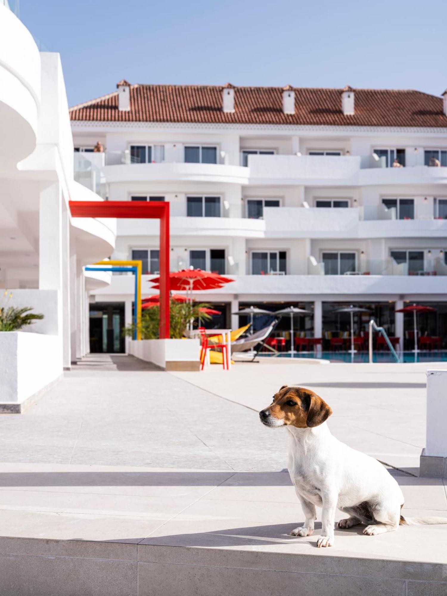 Hotel Sholeo Gigantes (adults Only)
